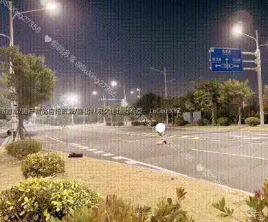 马路边脱光任务，直接在马路边爬行 #苏幸