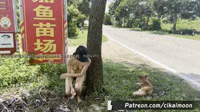 #小K 放置任务？全裸蹲在路边的挑战，不断有车辆来来往往，猜猜视频里一共有几条狗？